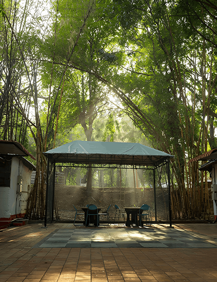 riverside stay resort Karnataka Jaladhama